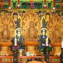 고금면-6 이미지