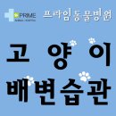 구리동물병원 이미지