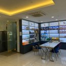 도그팡팡 이미지