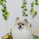 견생만족