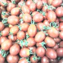 친환경 유기농 토마토와 대추형 방울 토마토 50% 맛보기 후기입니다^^* 이미지