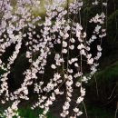 꽃가람작은도서관 이미지