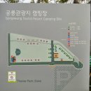 공릉관광지 캠핑장 이미지