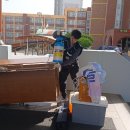 금당중학교 체육관 이미지