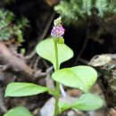 오며가며 이미지