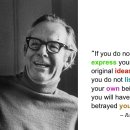 롤로(Rollo) 이미지