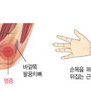 핑샵 이미지