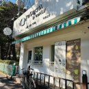 토스테리아 이미지