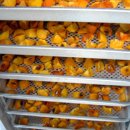 선바우농장 이미지