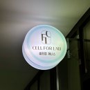 제니스 | 청주 체지방 감소 다이어트 셀포랩 제니스 후기
