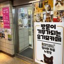 집사의하루 노원점 이미지