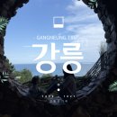 아르떼월드 | 강릉 아이랑 2박3일 여행 일정공유｜하슬라아트월드 강릉중앙시장 아르떼뮤지엄 실내체험 코스 솔직후기