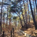 고성산 정상 전망대 이미지