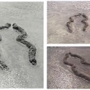 아나 멘디에타(Ana Mendieta) 4. 루페스트리안(rupestrian, 선사시대 스타일) 조각들