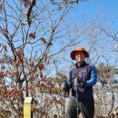 갑수씨랑 양산 매봉산(703m)산행, 춘추공원 산책(2022.1.4) 이미지