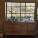 용이동 소로 2-665 | 실컷즐긴 봄 ~