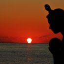 동백섬의 일출 이미지