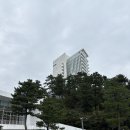 강릉 5성급 호텔 경포 해수욕장 '씨마크' 후기