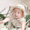 그린비스튜디오 이미지