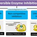 부산일과학고등학교 이미지
