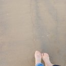 연포2020 이미지