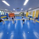 엘림 태권도 이미지