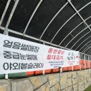2026 청양 알프스마을 얼음 축제, 입장료 할인 및 눈썰매장 솔직후기