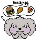 여리네닭갈비 - 은평구 연서로 260 | 여리네닭갈비