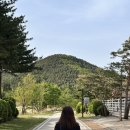 고성 켄싱턴 설악밸리 부대시설 : 양목장, 사슴농장, 척산온천휴양촌 할인