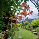 흙집풍경 이미지