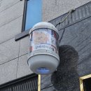 까끌레멍 | 경산애견미용 사동애견미용 애견미용잘하는 경산 까끌레멍