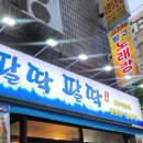 다모아 피자 | 창동역 야장 맛집 팔딱팔딱, 고등어회 미쳤고 초밥 만들어 먹는 재미까지 🐟