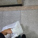 인셀덤 화장품 무료체험 받아본 솔직후기!