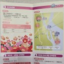 [경기/가평]2025자라섬 꽃 페스타 다녀온 후기(입장료,주차,포토존,마켓) 자라섬꽃축제