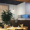 돈까스회관 파주교하점 | 파주 교하 출판단지 근처 양식 맛집 쿠치나레