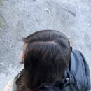 오니비니 | 남미여행26_칠레 파타고니아, 토레스 델 파이네 W트레킹 2박3일 후기 (1일차)