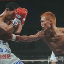 홍농 | 전라남도 영광군 채승곤KO복싱 홍농점, 위치, 가는법, 후기