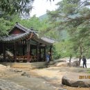 무릉계곡 1호 이미지