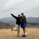 보르도애플스테이 이미지