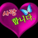 아량 이미지