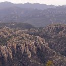 CW-2003-01 이미지