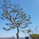 마론컨트리클럽 | 마론뉴데이cc 골프장 후기