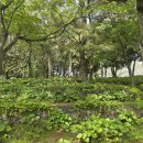 하림여행사 제주도미니버스 | 제주 단체여행은 제주도 25인승 미니버스 대절하면 끝