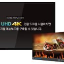 쿨커피숍