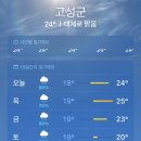 다모아수산 - 수영구 수영성로 34 | 소란스러운 여름이래도 :: 강원도 1박2일 여행 기록 ˳ᐟ