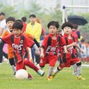 FC서울 유소년 축구교실, Future of FC서울 야드프로반 공개테스트 안내 이미지