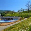 동강시스타 골프장 이미지