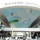 엑스포 이미지