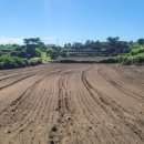 제주신공항부동산공인중개사사무소 이미지