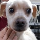 한일동물병원 이미지